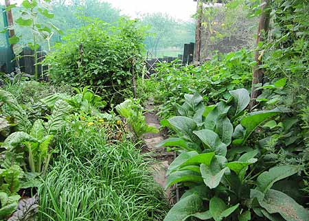 Organic vegetable garden at NARREC